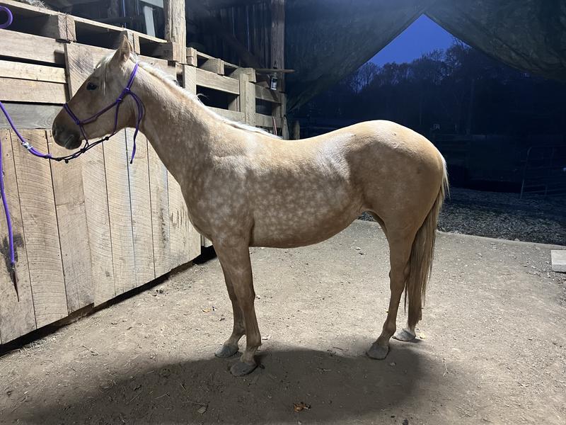 Before feeding Triumph