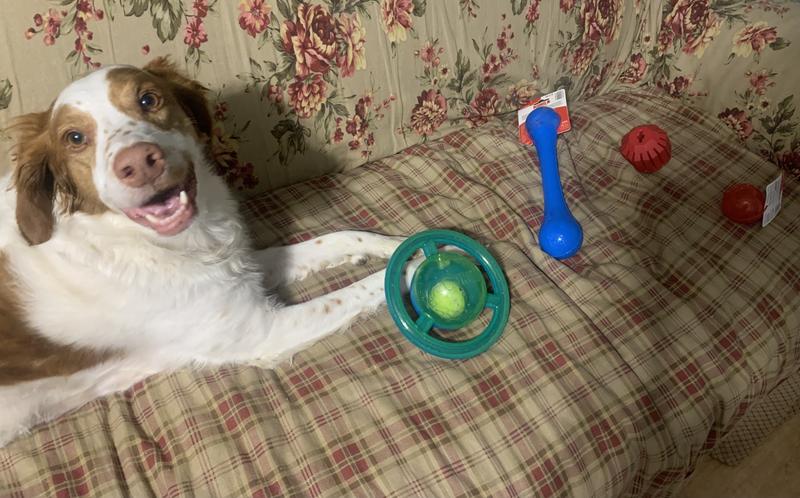 Happy boy