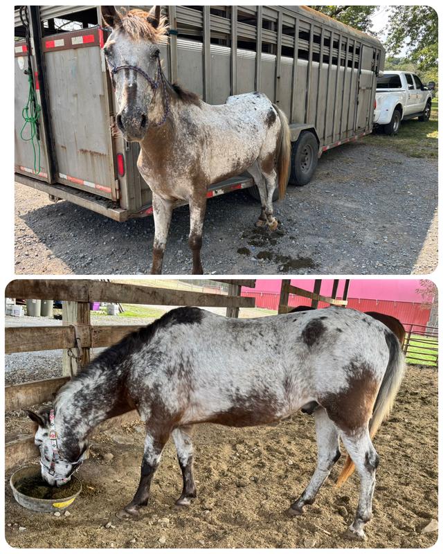 Before and after