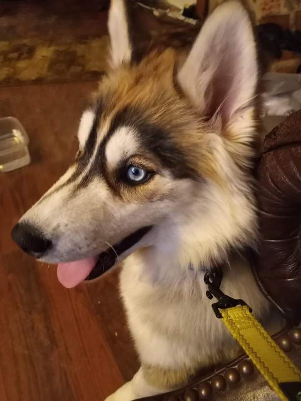 Looks and brains a great combination  !