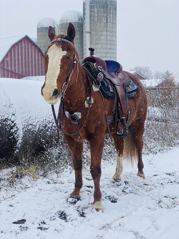 Sorry it's hard to tell the difference in these pictures