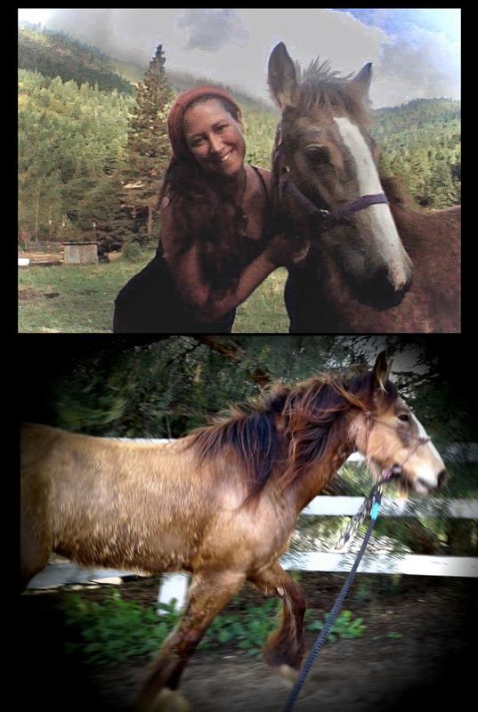 The love of my life deserves nothing less! Nutrena is the game changer!