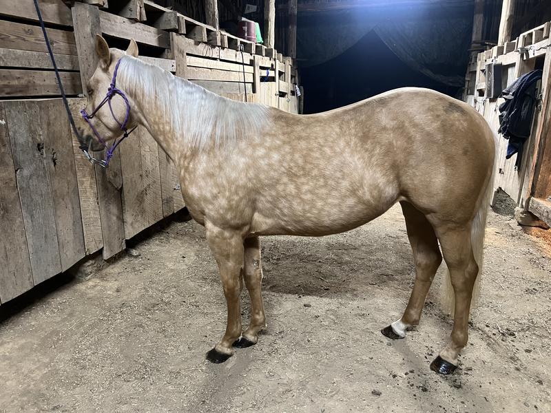 Two months on Triumph