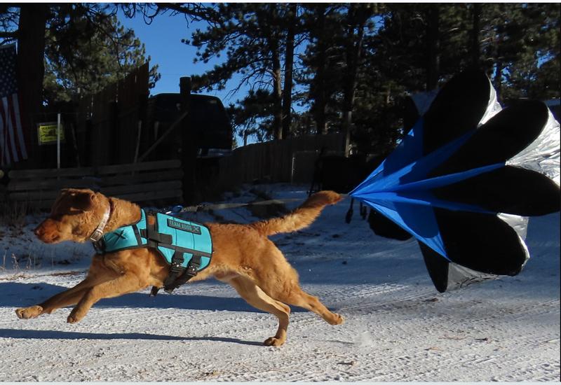 Mimir wind resistance training