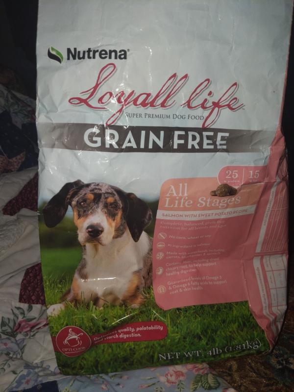 Loyall Life Grain Free Salmon Adult Dog Food Nutrena