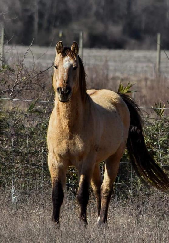 Living and loving the best life