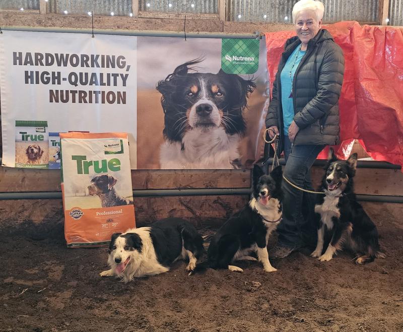 Nutrena True Professional 30 20 Dog Food