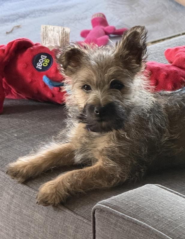 Happy little customer