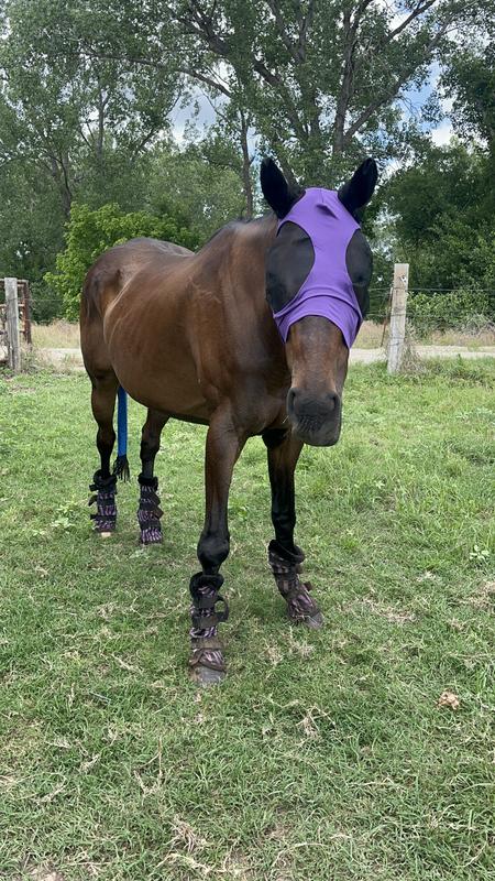 After Nutrena (in her summer slick)