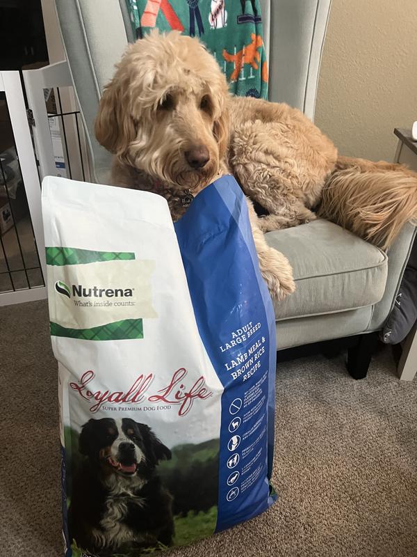 Nutrena loyall life large breed puppy food best sale