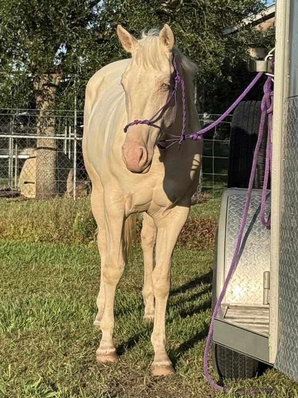 Diamond looking stunning 💎