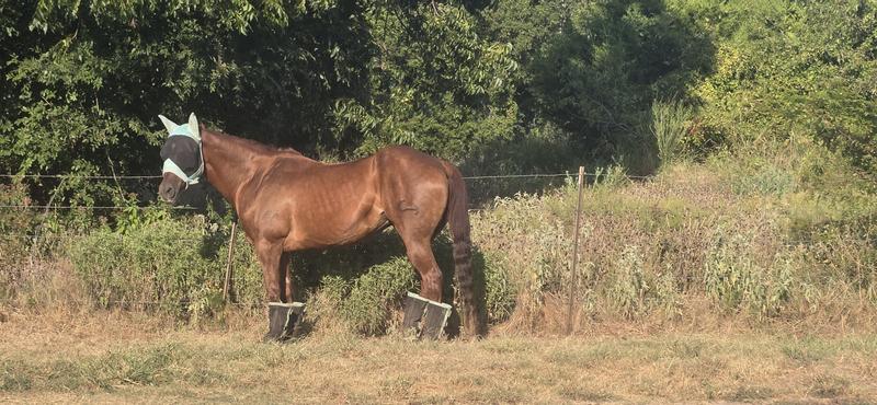 My 29 year old