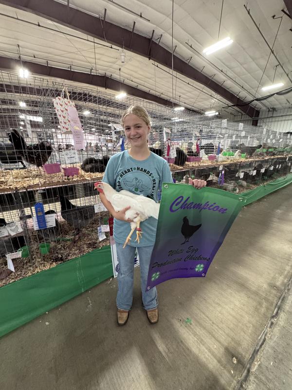 Grand Champion overall market chickens