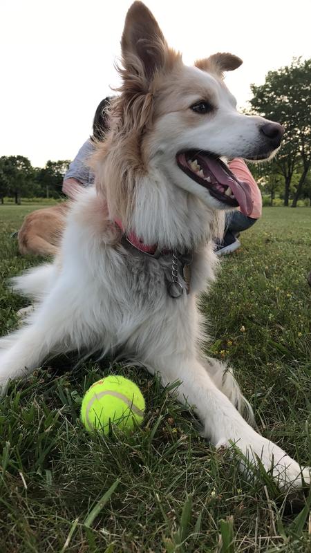 Review photo 5.