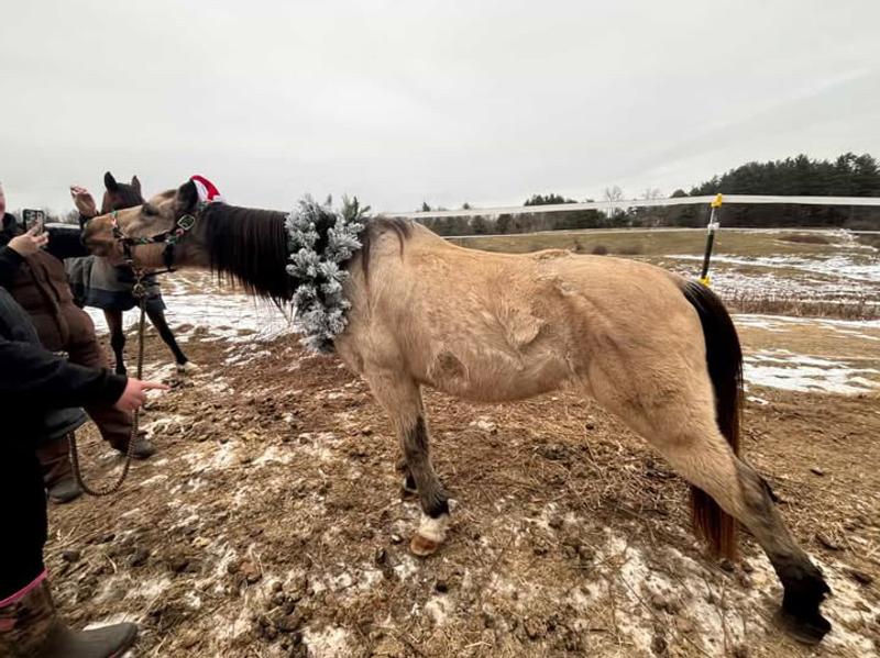 Before and current! Best winter coat so far!