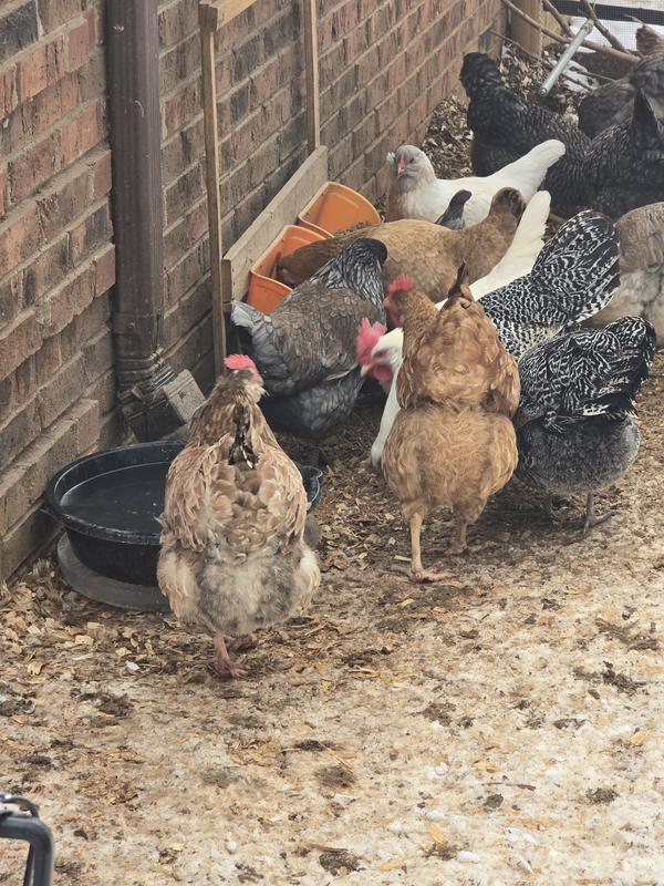 Check the girls out!!