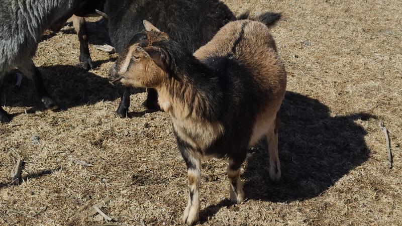 Review photo 3.