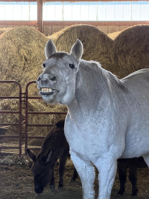 After his Nutrena dinner