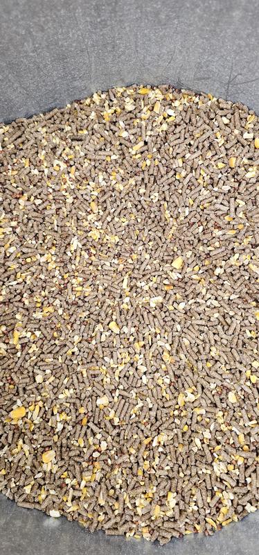 No sunflower seeds