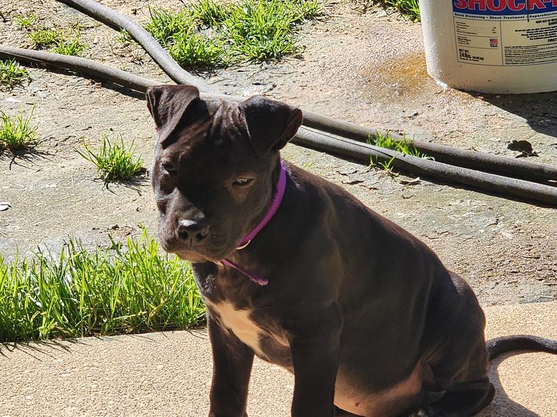 My Baby Ruby