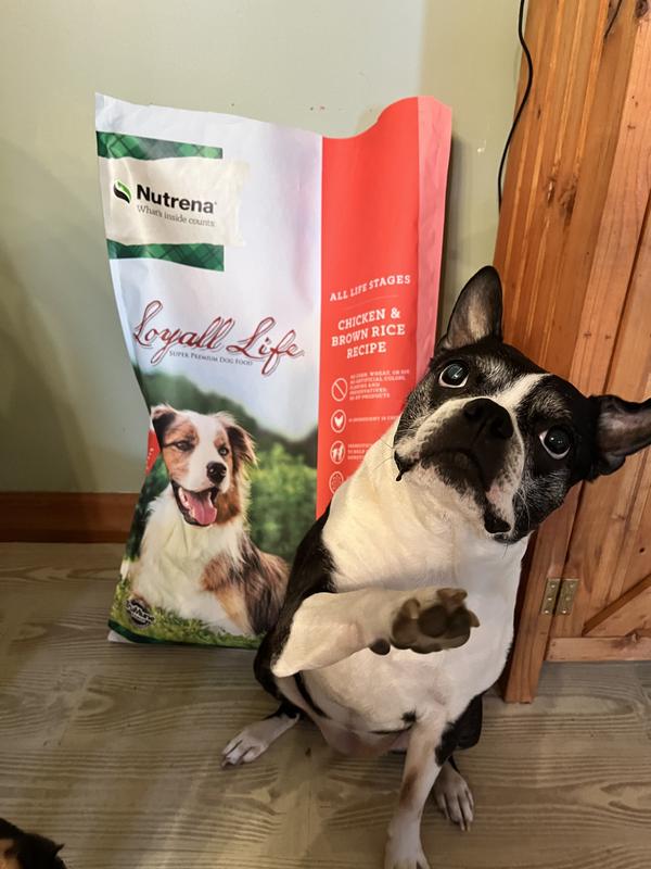 Loyall life dog food review best sale