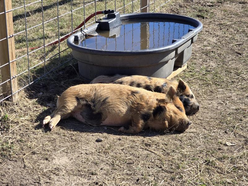 Safe to say these guys love the feed