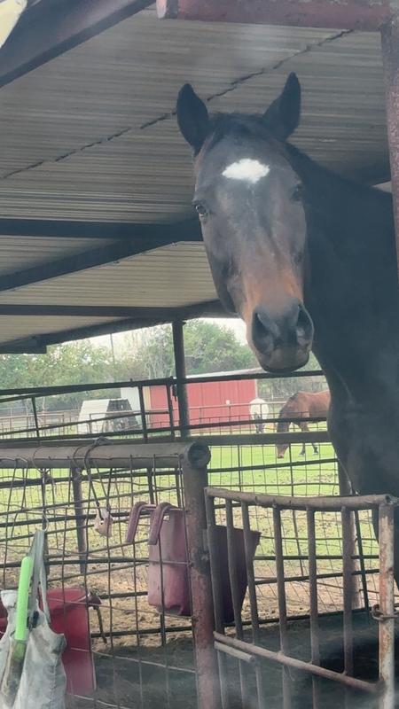 He’s came a long way with this feed!