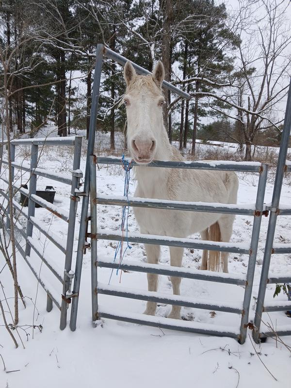 First snow of Winter