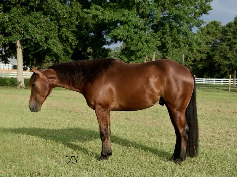 MF CDs Pistol aka SLICK