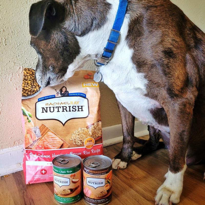 Why My Pup Made the Switch to Rachael Ray Nutrish Grain Free Dog Food -  Clever Housewife