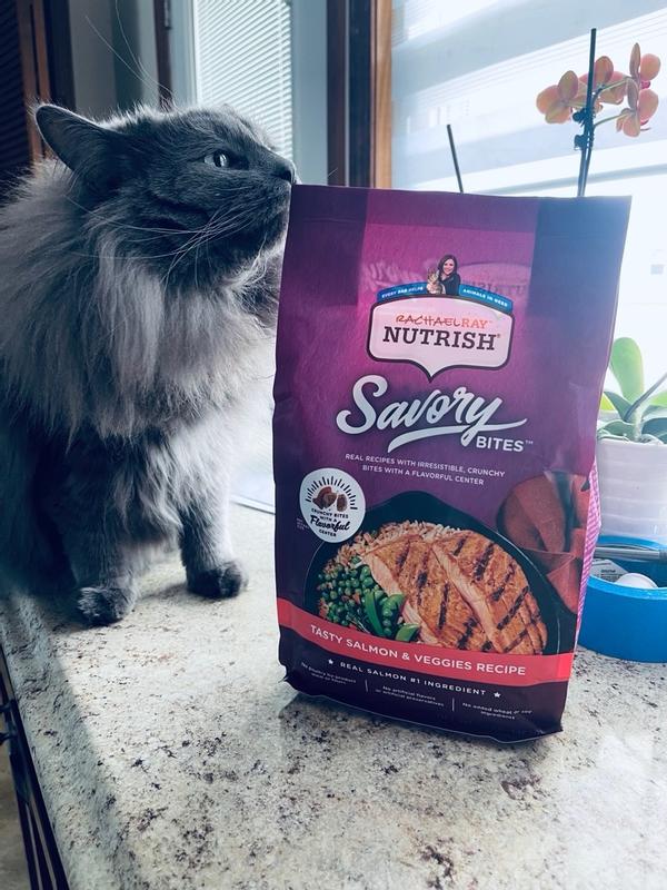 Rachael Ray Nutrish Savory Bites Dry Cat Food Salmon Veggies 2.5