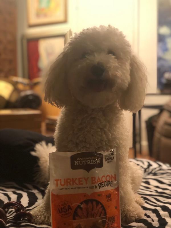 Turkey bacon dog clearance treats