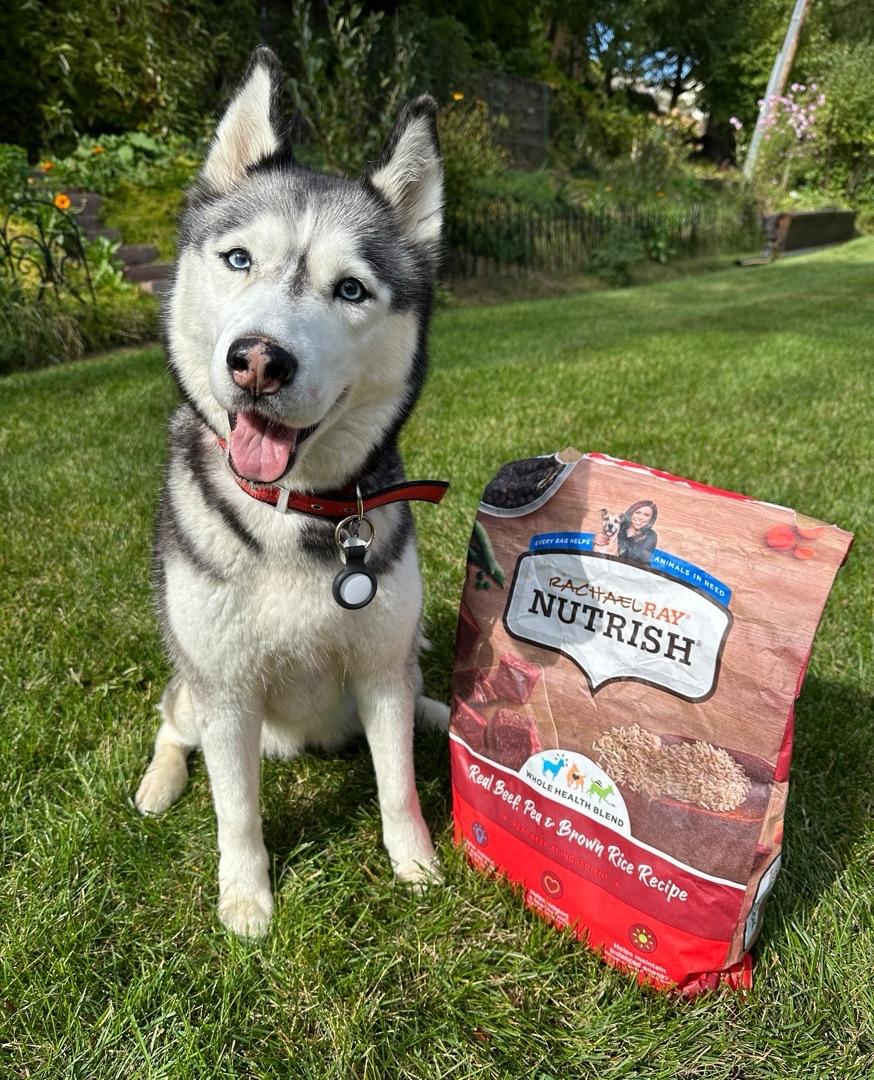 Rachael ray dog food for small dogs hotsell