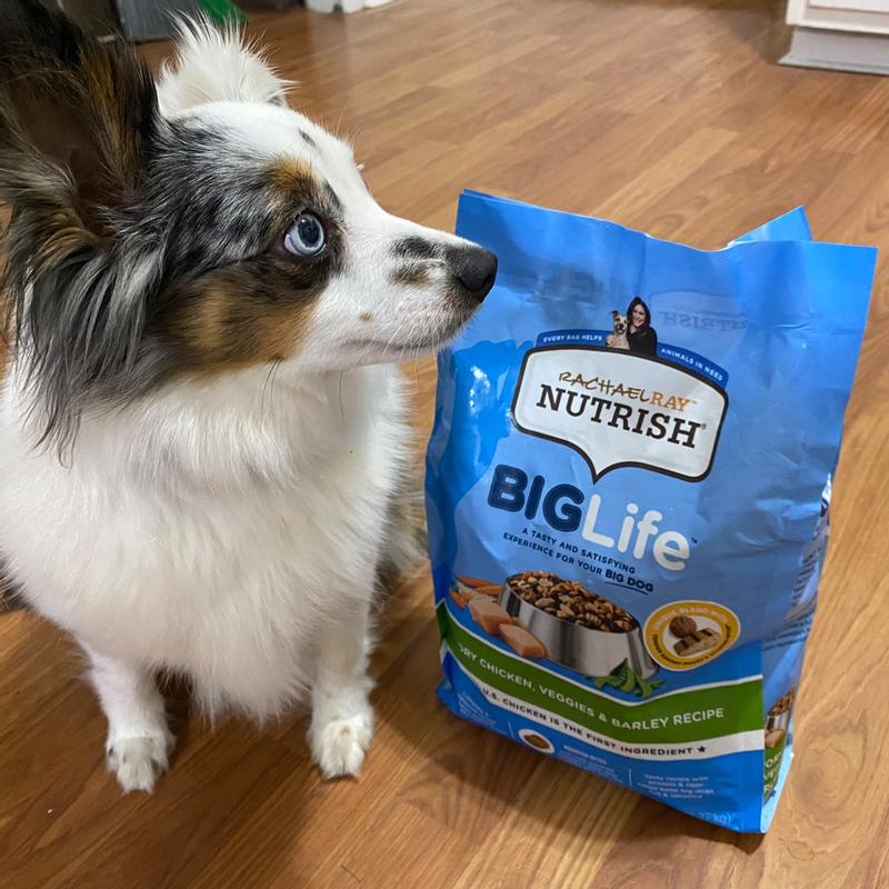 Nutrish large online breed dog food