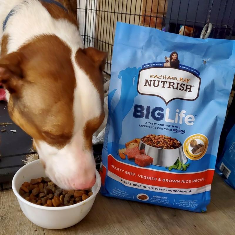 Rachael ray dog food big bag best sale