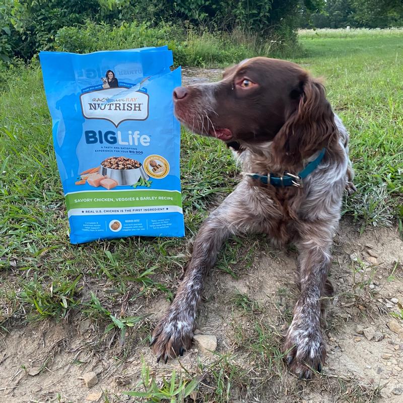 Chicken Veggies Barley Large Breed Dog Food Rachael Ray