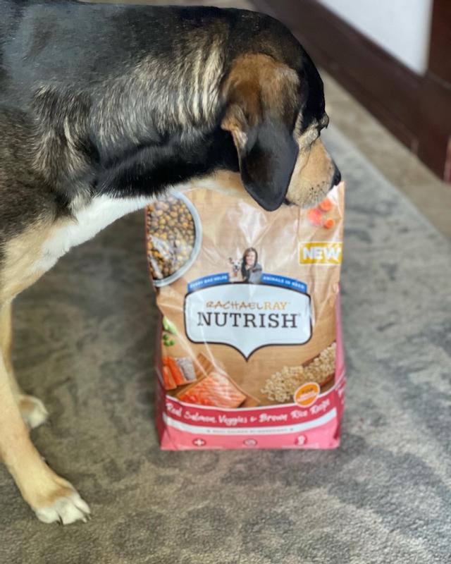 Can Dogs Eat Rachael Ray Cat Food