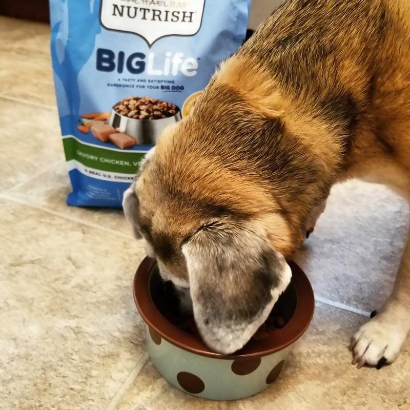 Nutrish large clearance breed dog food