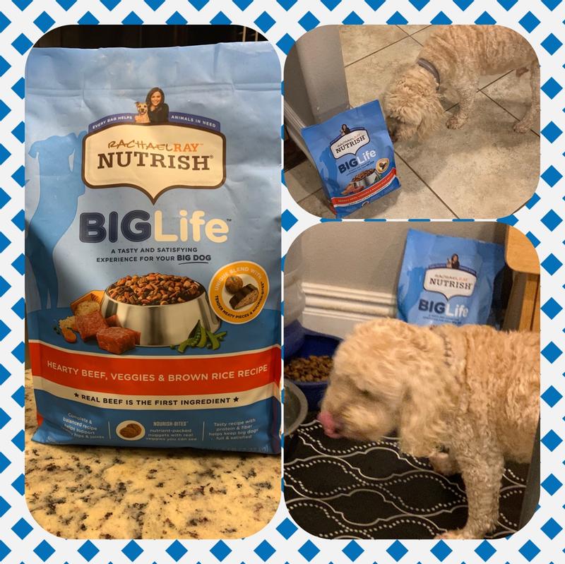 Nutrish large breed dog cheap food