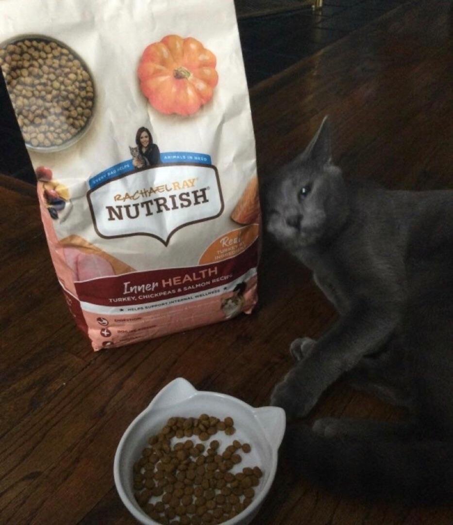 Are chickpeas bad for cats sale