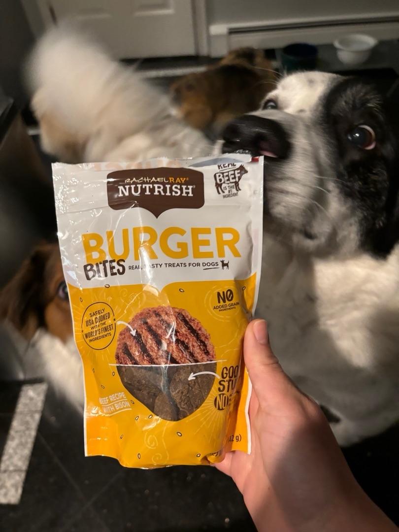 Rachael Ray Nutrish Dish Natural Dry Dog Food Beef Brown Rice Recipe with Veggies Fruit Chicken 11.5 lbs Amazon Pet Supplies