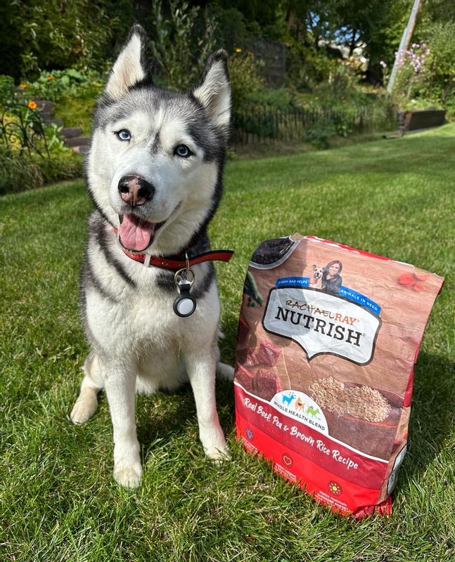 Why My Pup Made the Switch to Rachael Ray Nutrish Grain Free Dog