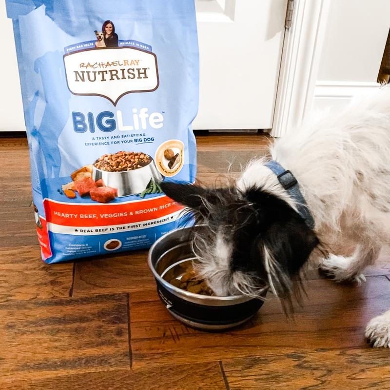 Nutrish large outlet breed