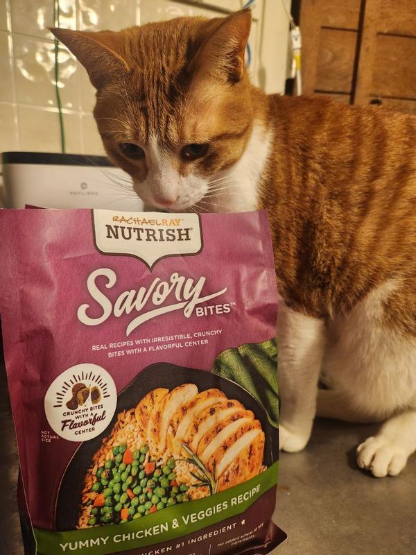 Rachael Ray Nutrish Savory Bites Dry Cat Food Chicken Veggies 12