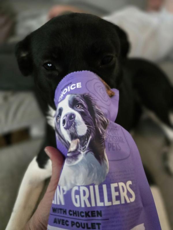 BUY Grillin' Grillers Chicken Dog Treats | NutriSource Choice