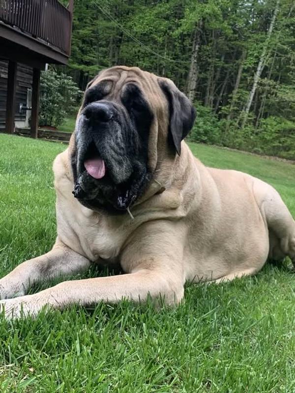Handsome man Ralph