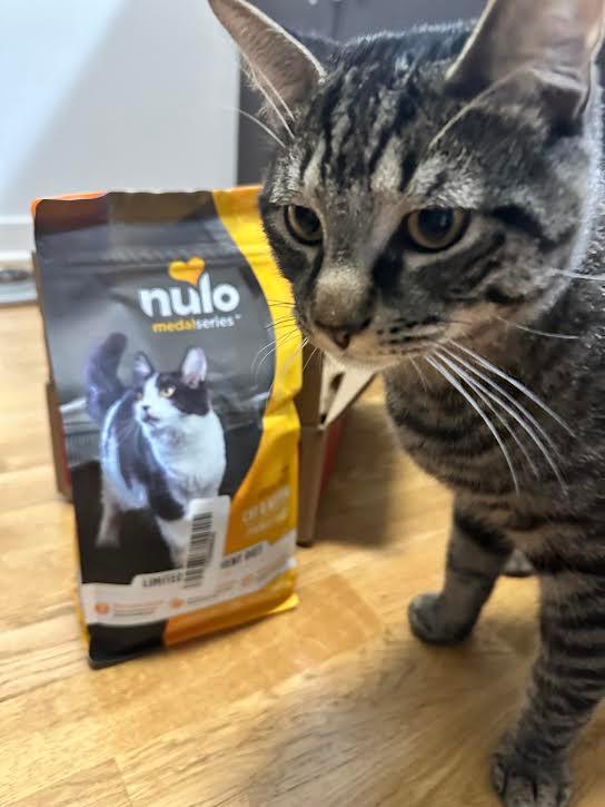 Nulo medal series cat and 2024 kitten food