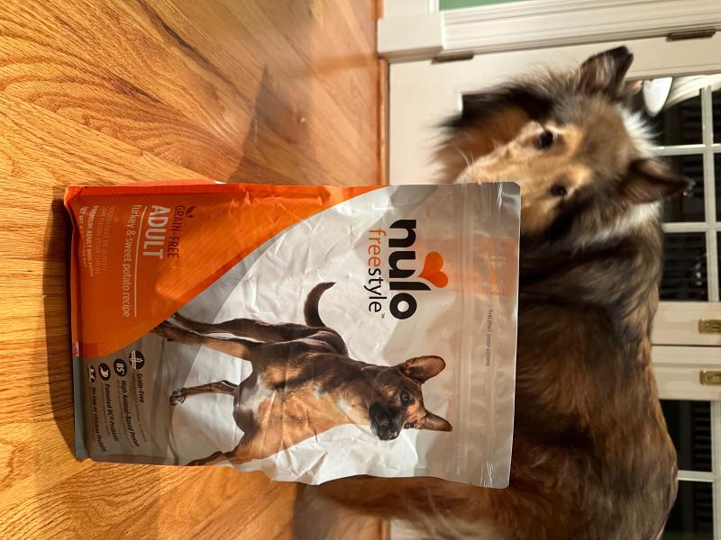 Nulo turkey and shop sweet potato dog food