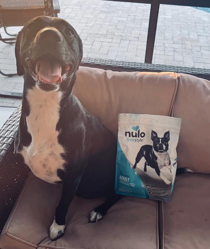 Nulo FreeStyle Dry Food For Dogs Salmon Peas