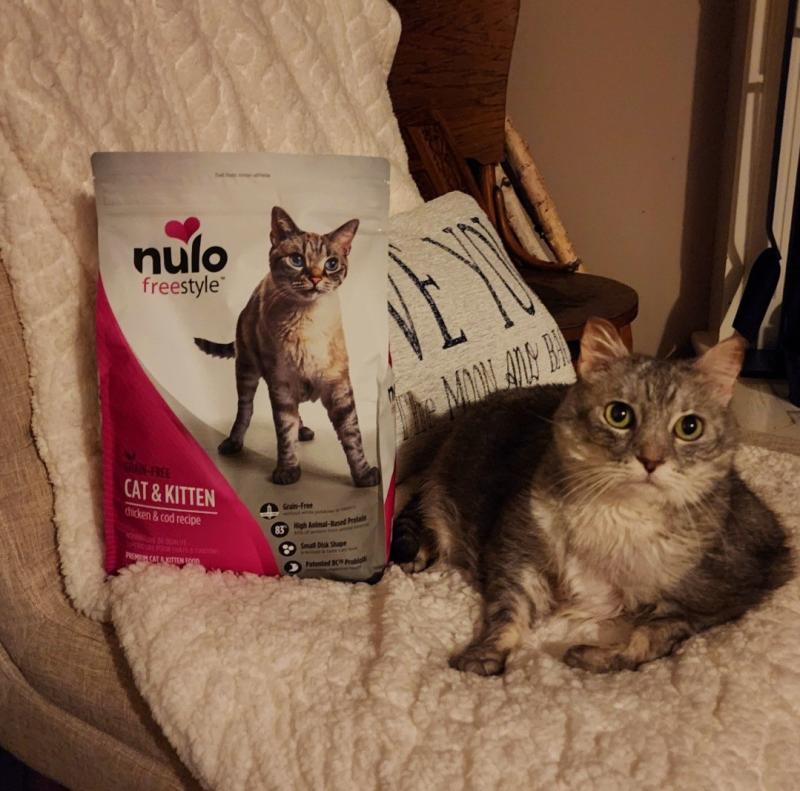 Nulo freestyle clearance cat food reviews